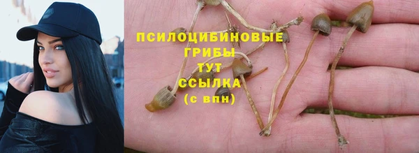 дурь Абинск