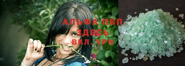 стаф Абаза